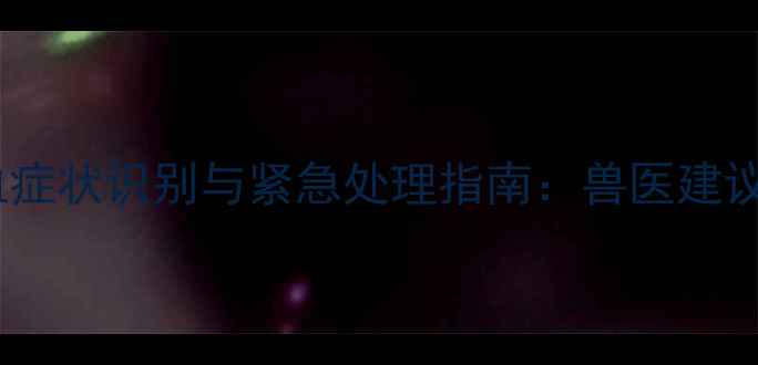 图片 哈士奇细小出血症状识别与紧急处理指南：兽医建议的6大抢救措施