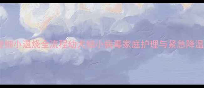 图片 哈士奇细小退烧全流程幼犬细小病毒家庭护理与紧急降温指南2