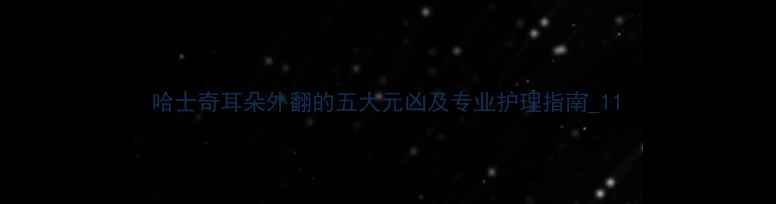 图片 哈士奇耳朵外翻的五大元凶及专业护理指南_11