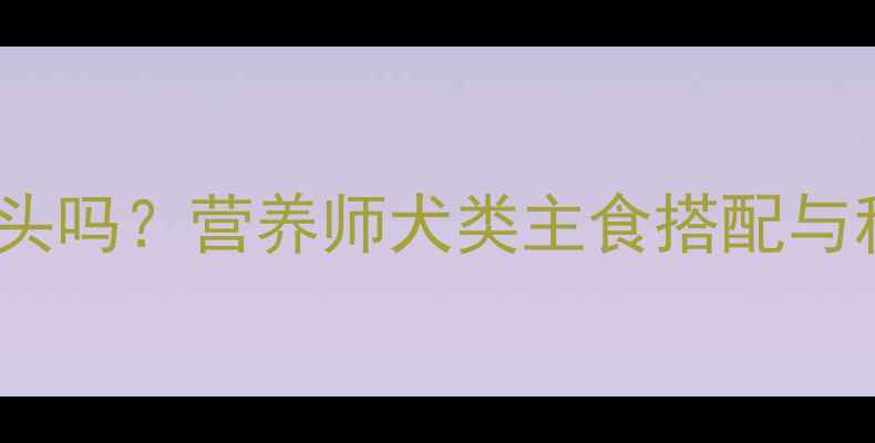 图片 哈士奇能吃窝头吗？营养师犬类主食搭配与科学喂养指南1