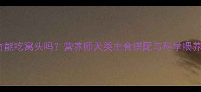 图片 哈士奇能吃窝头吗？营养师犬类主食搭配与科学喂养指南2