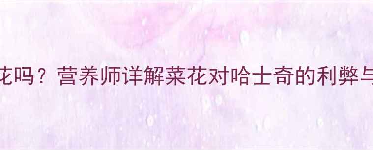 图片 哈士奇能吃菜花吗？营养师详解菜花对哈士奇的利弊与科学喂养指南