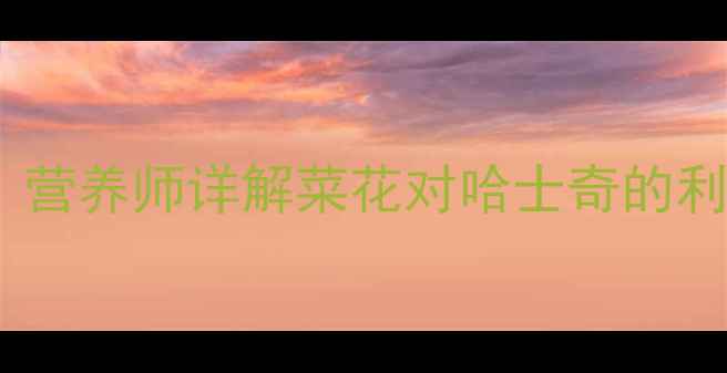 图片 哈士奇能吃菜花吗？营养师详解菜花对哈士奇的利弊与科学喂养指南2