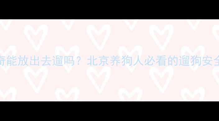 图片 哈士奇能放出去遛吗？北京养狗人必看的遛狗安全指南
