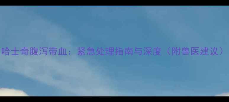 图片 哈士奇腹泻带血：紧急处理指南与深度（附兽医建议）