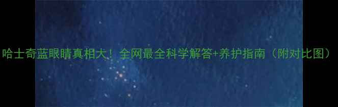 图片 哈士奇蓝眼睛真相大！全网最全科学解答+养护指南（附对比图）