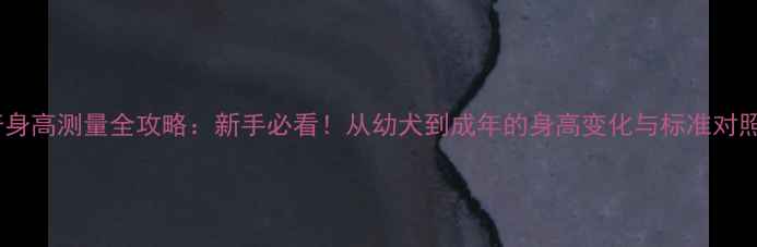 图片 哈士奇身高测量全攻略：新手必看！从幼犬到成年的身高变化与标准对照表✨2