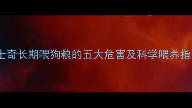 图片 哈士奇长期喂狗粮的五大危害及科学喂养指南1