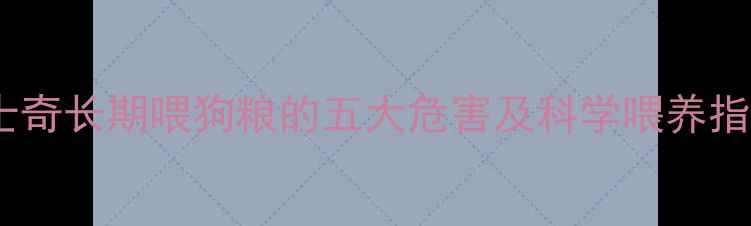 图片 哈士奇长期喂狗粮的五大危害及科学喂养指南2