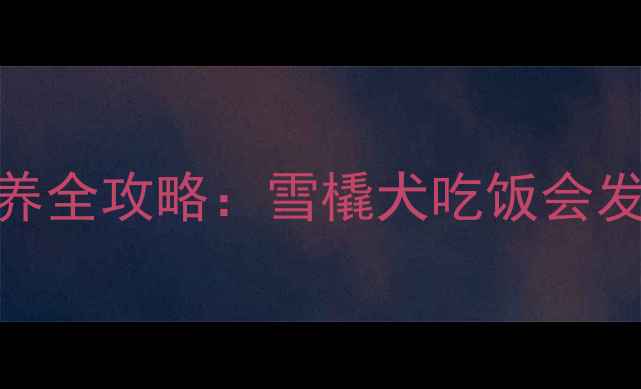 图片 哈士奇饮食禁忌与科学喂养全攻略：雪橇犬吃饭会发生的10大问题及解决方法