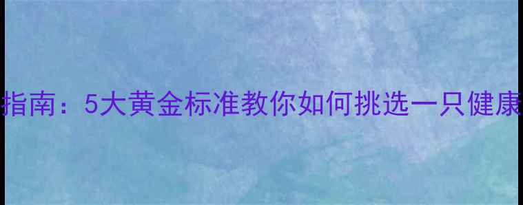 图片 哈士奇饲养指南：5大黄金标准教你如何挑选一只健康活泼的幼犬