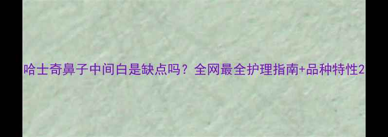 图片 哈士奇鼻子中间白是缺点吗？全网最全护理指南+品种特性2