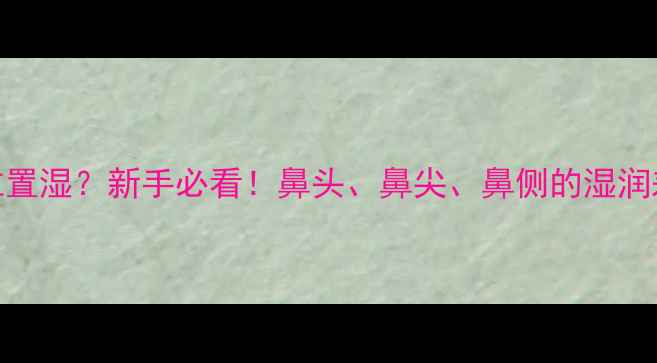 图片 哈士奇鼻子哪个位置湿？新手必看！鼻头、鼻尖、鼻侧的湿润差异与健康隐患全