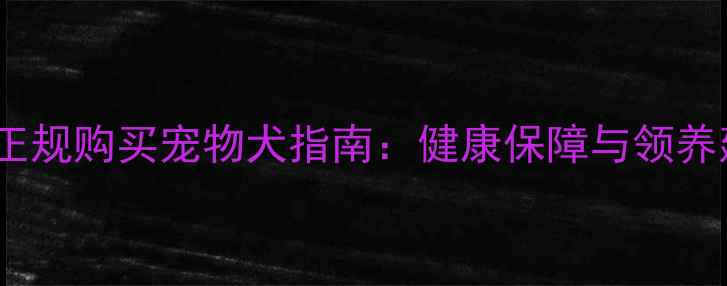 图片 哈尔滨正规购买宠物犬指南：健康保障与领养建议全1