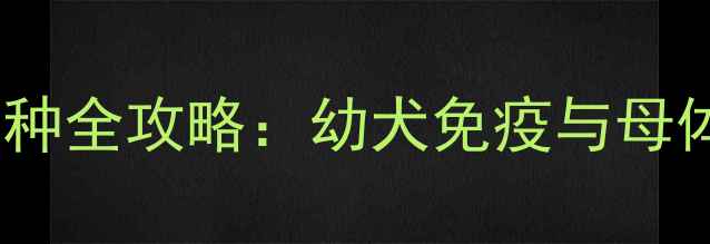 图片 哺乳期母犬疫苗接种全攻略：幼犬免疫与母体保护的平衡法则1