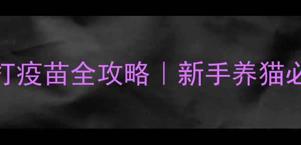 图片 哺乳期猫咪打疫苗全攻略｜新手养猫必看注意事项