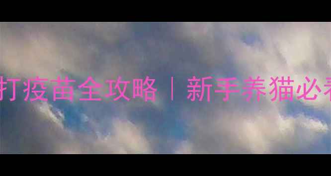 图片 哺乳期猫咪打疫苗全攻略｜新手养猫必看注意事项2