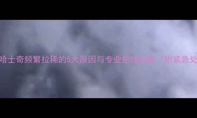 图片 四个月大哈士奇频繁拉稀的5大原因与专业护理指南（附紧急处理方案）