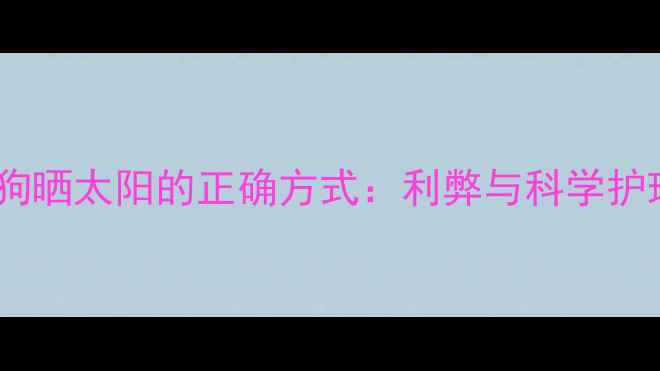 图片 夏天狗狗晒太阳的正确方式：利弊与科学护理指南2