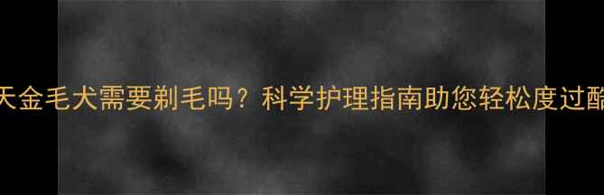 图片 夏天金毛犬需要剃毛吗？科学护理指南助您轻松度过酷暑