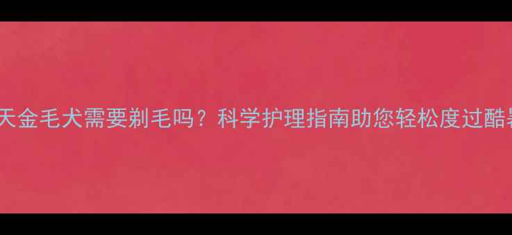 图片 夏天金毛犬需要剃毛吗？科学护理指南助您轻松度过酷暑1