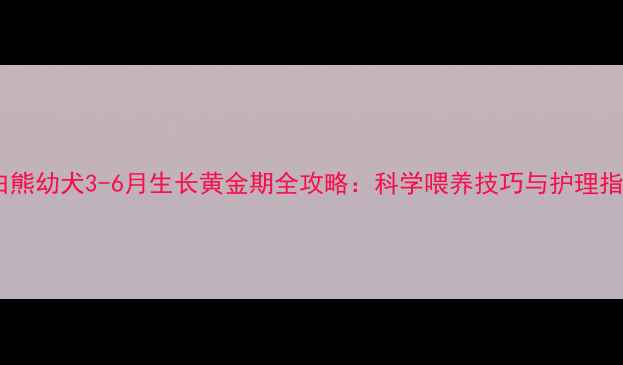 图片 大白熊幼犬3-6月生长黄金期全攻略：科学喂养技巧与护理指南2