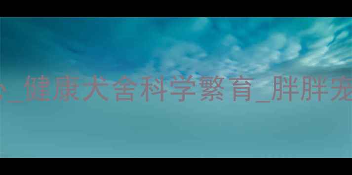 图片 大连正规宠物繁育中心_健康犬舍科学繁育_胖胖宠物繁育中心信赖品牌2