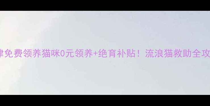 图片 天津免费领养猫咪0元领养+绝育补贴！流浪猫救助全攻略1