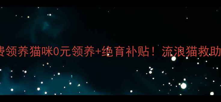 图片 天津免费领养猫咪0元领养+绝育补贴！流浪猫救助全攻略2