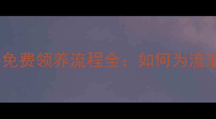 图片 太原猫咪领养中心免费领养流程全：如何为流浪猫找到温暖家？2