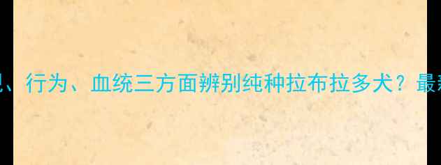 图片 如何从外观、行为、血统三方面辨别纯种拉布拉多犬？最新鉴定指南