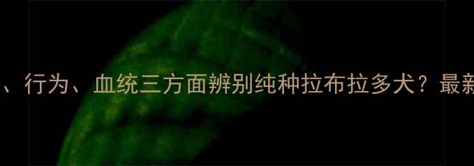 图片 如何从外观、行为、血统三方面辨别纯种拉布拉多犬？最新鉴定指南1