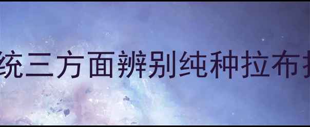 图片 如何从外观、行为、血统三方面辨别纯种拉布拉多犬？最新鉴定指南2