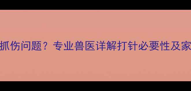 图片 如何处理小狗抓伤问题？专业兽医详解打针必要性及家庭护理全攻略