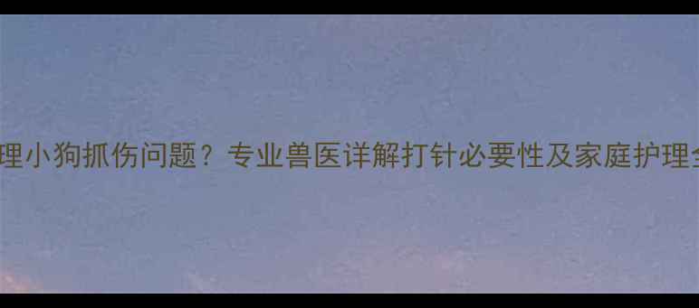 图片 如何处理小狗抓伤问题？专业兽医详解打针必要性及家庭护理全攻略2
