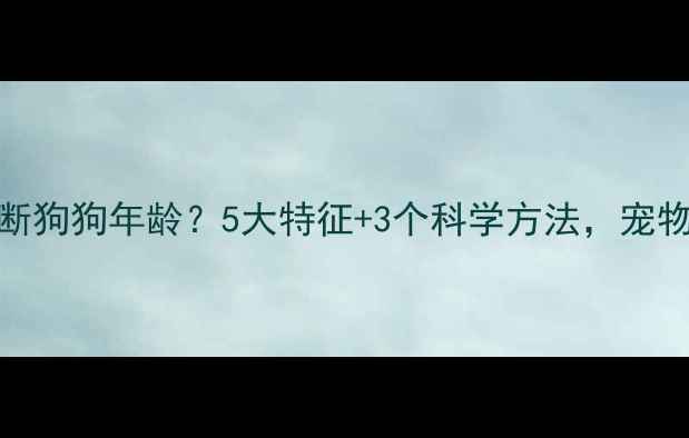 图片 如何快速判断狗狗年龄？5大特征+3个科学方法，宠物主人必看！