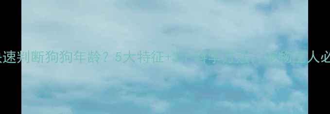 图片 如何快速判断狗狗年龄？5大特征+3个科学方法，宠物主人必看！1