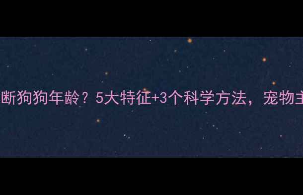 图片 如何快速判断狗狗年龄？5大特征+3个科学方法，宠物主人必看！2