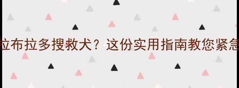 图片 如何找回走失的拉布拉多搜救犬？这份实用指南教您紧急处理与预防措施