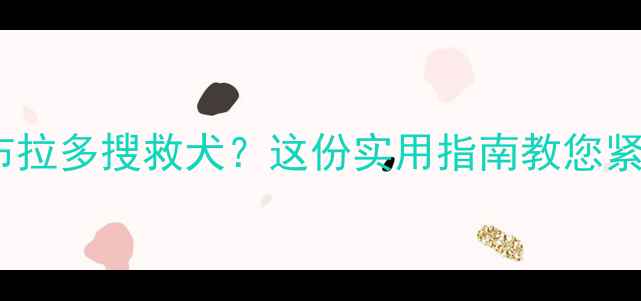 图片 如何找回走失的拉布拉多搜救犬？这份实用指南教您紧急处理与预防措施1
