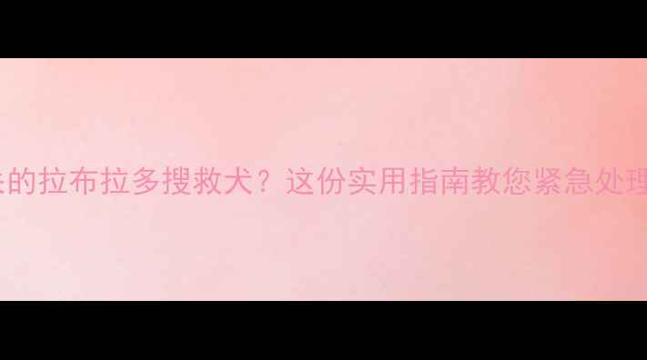 图片 如何找回走失的拉布拉多搜救犬？这份实用指南教您紧急处理与预防措施2