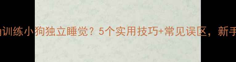 图片 如何正确训练小狗独立睡觉？5个实用技巧+常见误区，新手必看！1