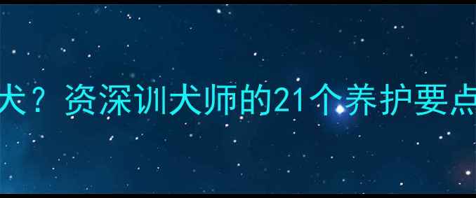 图片 如何科学养护拉布拉多犬？资深训犬师的21个养护要点（附成长全周期指南）
