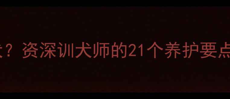 图片 如何科学养护拉布拉多犬？资深训犬师的21个养护要点（附成长全周期指南）2
