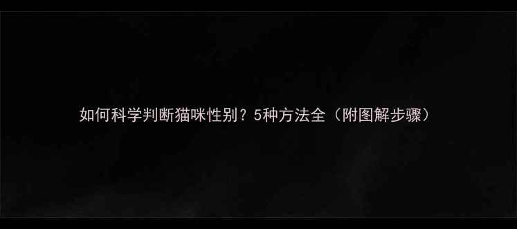 图片 如何科学判断猫咪性别？5种方法全（附图解步骤）