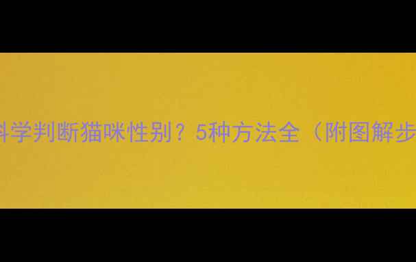 图片 如何科学判断猫咪性别？5种方法全（附图解步骤）1
