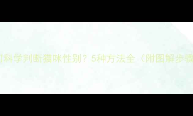 图片 如何科学判断猫咪性别？5种方法全（附图解步骤）2