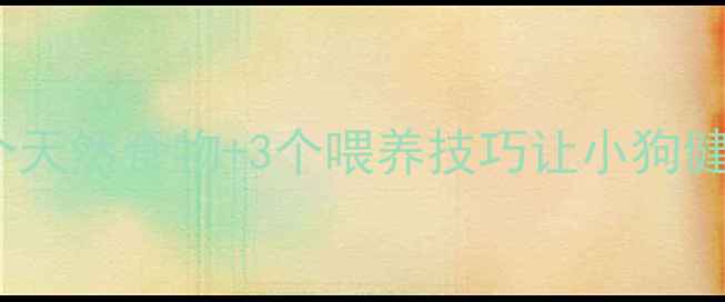 图片 如何科学增重？5个天然食物+3个喂养技巧让小狗健康增肥（附食谱）