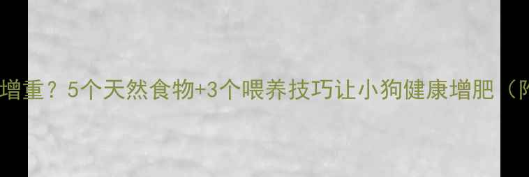 图片 如何科学增重？5个天然食物+3个喂养技巧让小狗健康增肥（附食谱）1