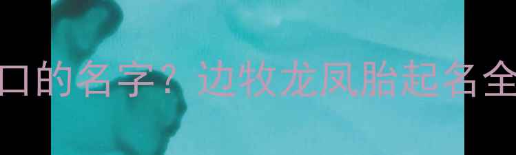 图片 如何给边牧龙凤胎取朗朗上口的名字？边牧龙凤胎起名全攻略（附120个精选方案）1